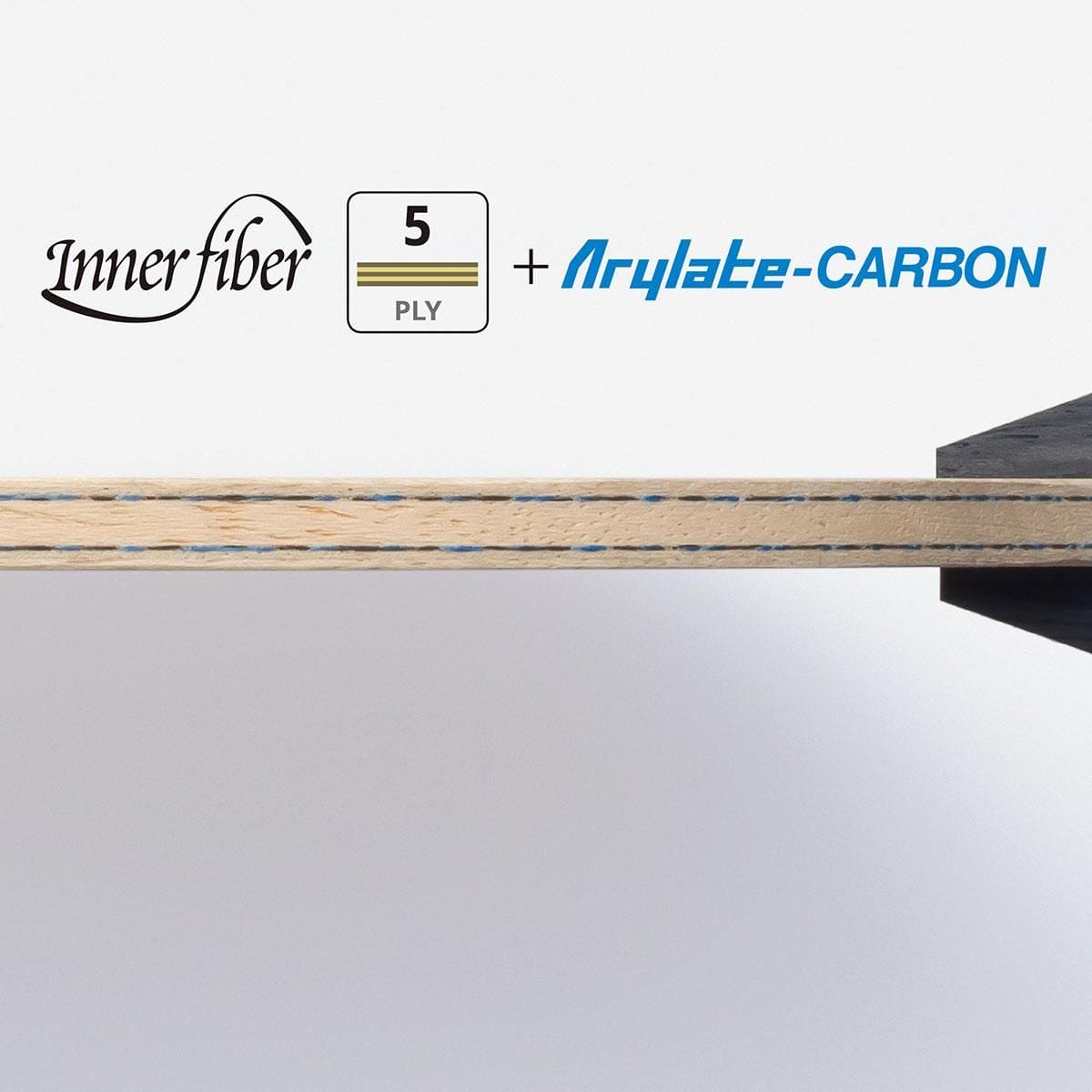 蝴蝶 张本智和 INNERFORCE ALC